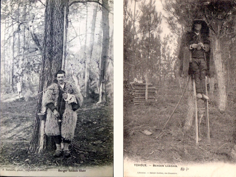 Shepherds on Stilts – Modern Daily Knitting